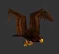 Eagle.jpg