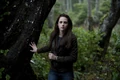 Thetwilightsaganewmoon3r.jpg