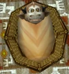 Taunka Orphan