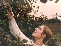 ApplePicking