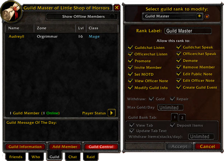 Guild management in WoW