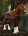 Chestnut Mare.jpg