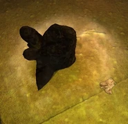 Artifact Gravi