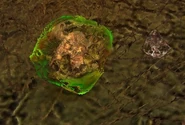 Artifact Jellyfish