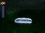 Eel