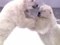 Ours m.jpg