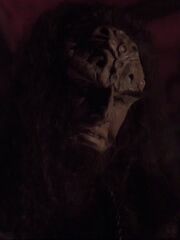 Kortar