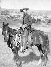 800px-Cowboy 18872