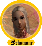 Icon schamane.gif
