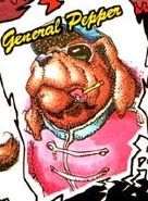 Itoh Pepper
