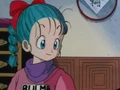 YoungBulma