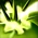 Spell Cra DestructiveArrow