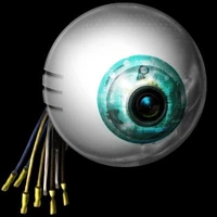 Ocular implants large.jpg