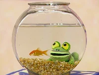 Ewfrogs-dorothy