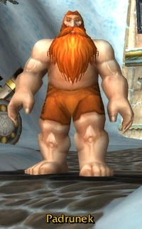 Image of Padrunek