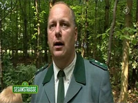 Folge2505-7