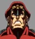 M. Bison