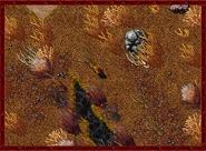 Zao 25