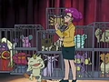 EP398 Pokémon capturados.png