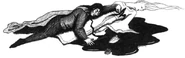 Le Sorcier au cœur velu