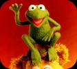 Robin the Frog