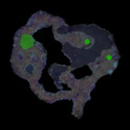 Razormaw Matriarch Spawn Locations