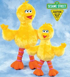 Nanco-bigbird