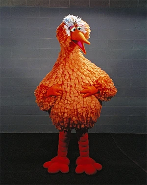 Poupas 2