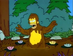 Il richiamo dei Simpson