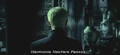 Harmonia Nectere Passus.JPG