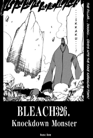 Bleach Ch326