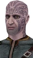 Uthar Wynn Render.jpg
