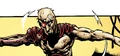 YokeofSeeming.jpg