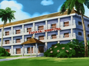 PapayaHospital