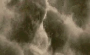 Death Eaters attacked London and kidnapped Ollivander