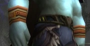 Canvas Bracers