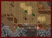 Orc Horde