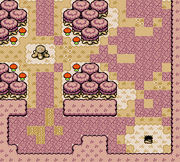 Lost Woods (Oracle of Seasons)