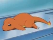 EP027 Charmander