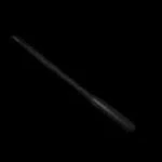 Riding crop