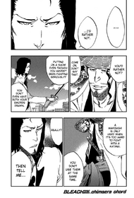Bleach cover 335