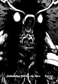 Bleach cover 338