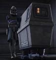 Rex PLNK.jpg