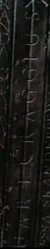 StuartCraggius