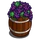 Barrel of Grapes-icon.png