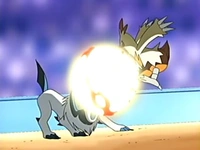 EP459 Combusken usando super calor sobre Absol