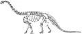 Camarasaurus skeleton