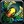 Inv staff 63