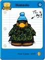 Homsolo costume 9