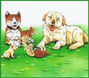 HappyFamily